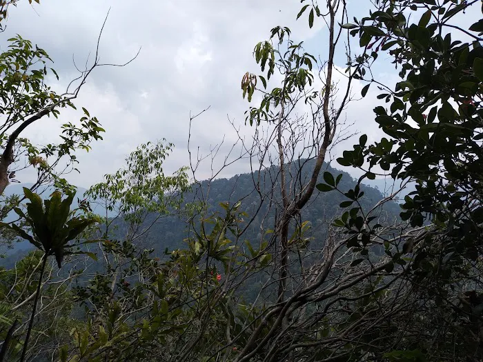 Bukit Batu Kumbang Picture 7
