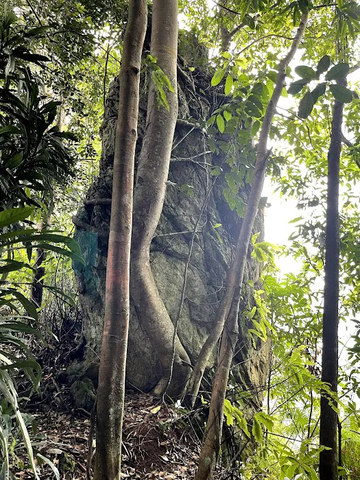 Bukit Batu Kumbang Picture 5