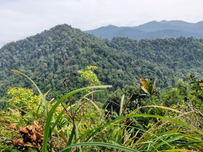 Bukit Batu Kumbang Picture 10