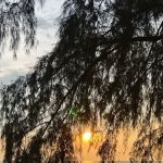 Sunset Jeram