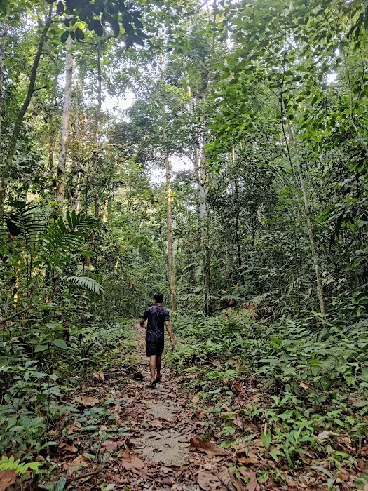 Bukit Chenuang Picture 6