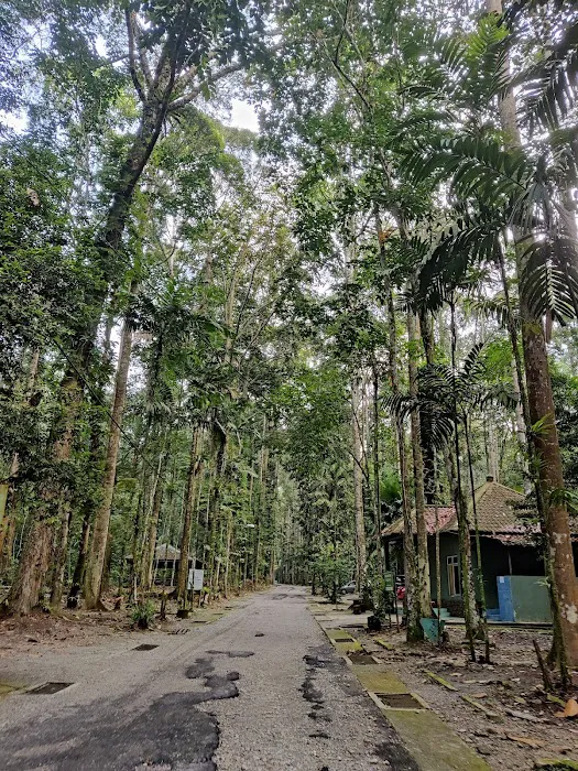 Bukit Chenuang Picture 10