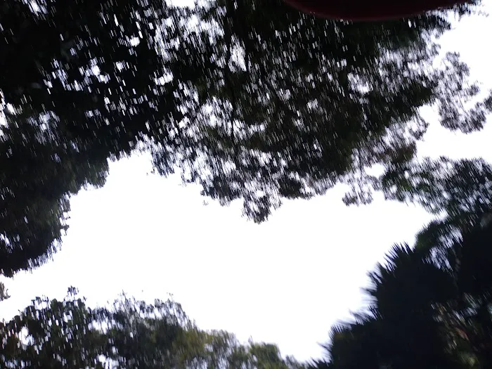 Bukit Chenuang Picture 5