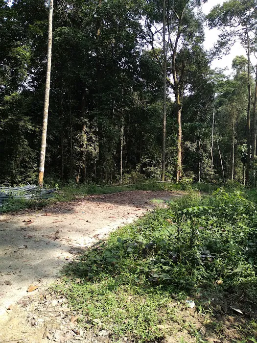 Bukit Chenuang Picture 8