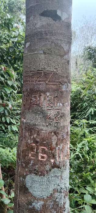 Tanah haji harun Picture 5