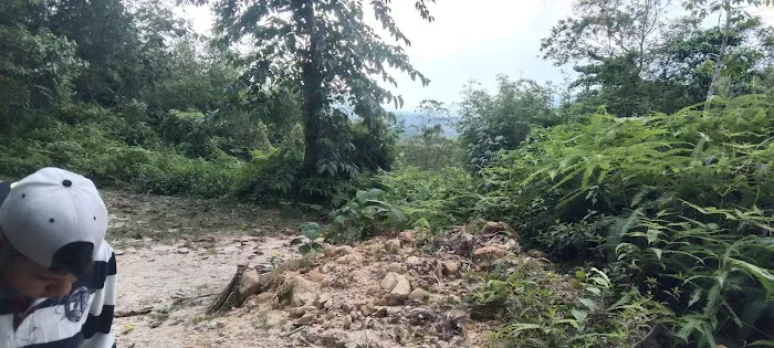 Tanah haji harun Picture 6