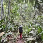 Jeram Perlus Waterfall Parking Trailhead