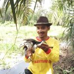 Lembah Hijau Nursery