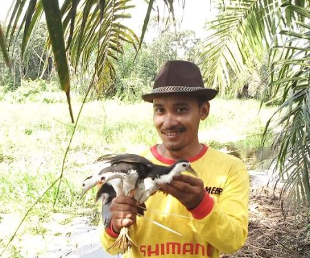 Lembah Hijau Nursery