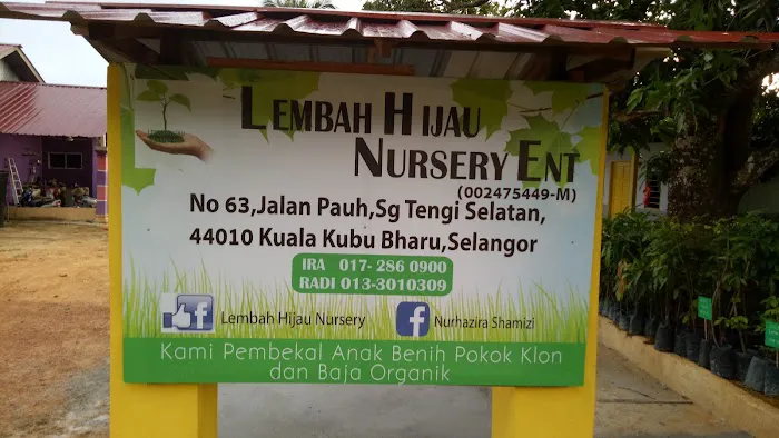 Lembah Hijau Nursery Picture 4