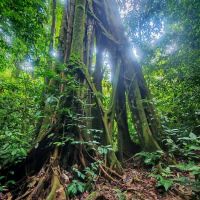 Jeram Perlus trailhead ico