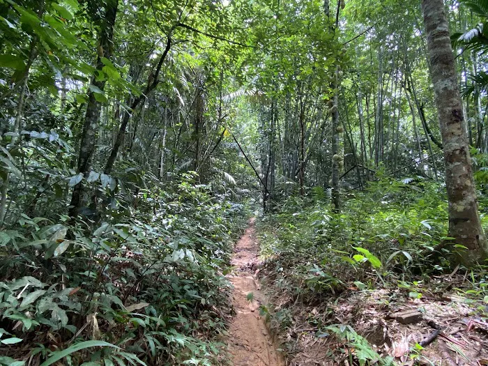 Jeram Perlus trailhead Picture 2
