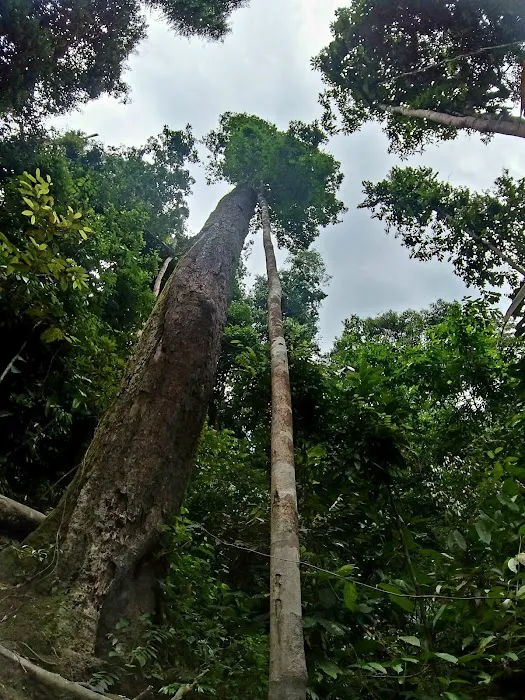 Jeram Kubang Gajah (Sofea Jane Waterfall)-Kemensah Waterfall Picture 5