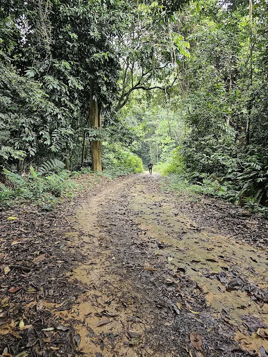 Taman Eko Rimba Nuang Picture 2