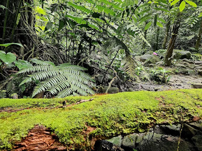 Taman Eko Rimba Nuang Picture 8