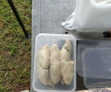 Durian Tanjak Wangsa Melawati