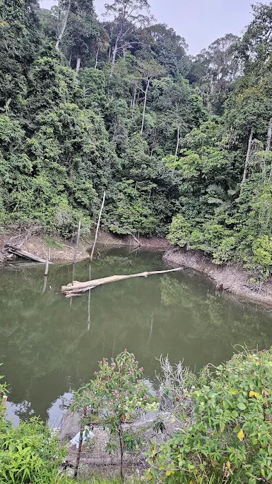 Hornbill Valley Picture 2