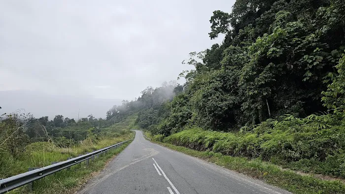 Hornbill Valley Picture 3