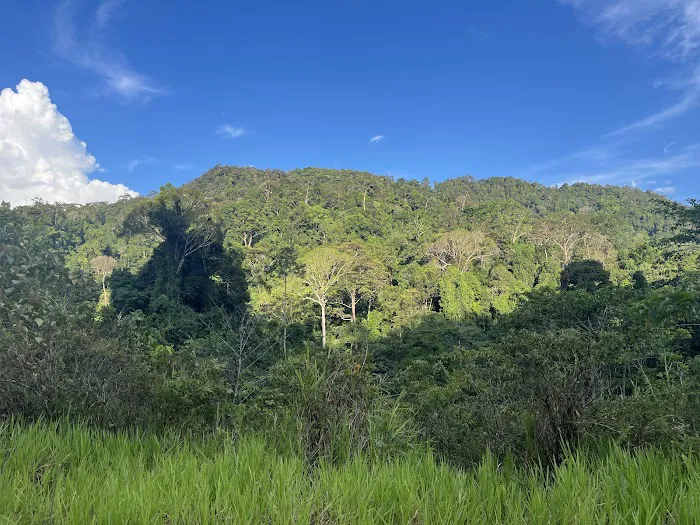Hornbill Valley Picture 1