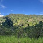 Hornbill Valley