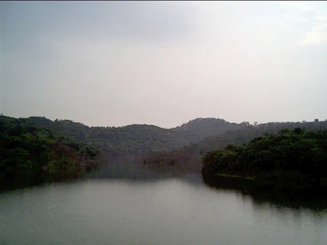 Pulau Durian Dayang Picture 3