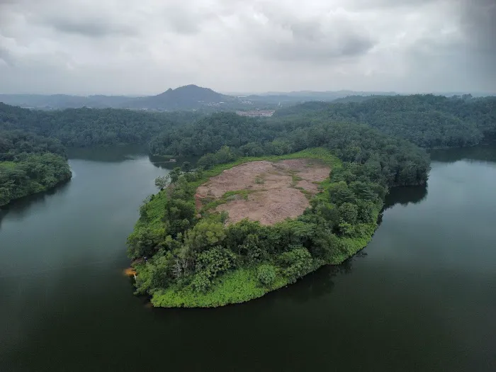 Pulau Durian Dayang Picture 1