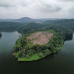 Pulau Durian Dayang
