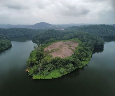 Pulau Durian Dayang