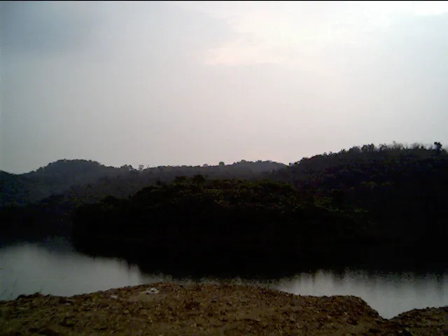 Pulau Durian Dayang Picture 6