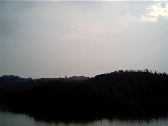 Pulau Durian Dayang Picture 4
