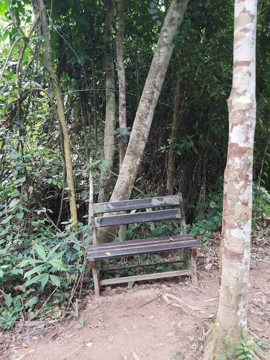 Bankje Kuala Tahan Picture 1