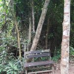 Bankje Kuala Tahan