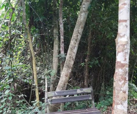 Bankje Kuala Tahan