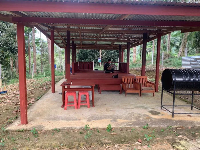Cabin Dusun Ulu Cheka Picture 3