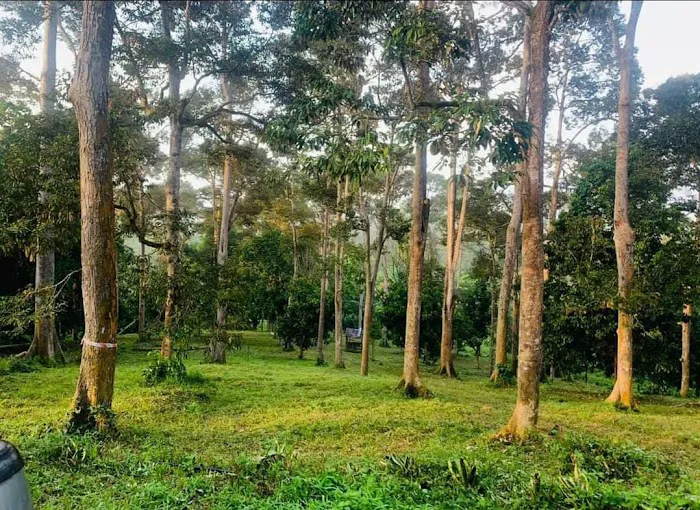 Cabin Dusun Ulu Cheka Picture 2