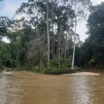Benom Valley Agro Campsite (SemiWild, Agrotourism & Aurora Glamp)