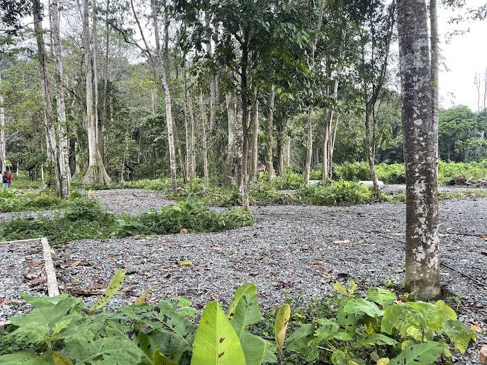 WongGanTeng CampSite Picture 5