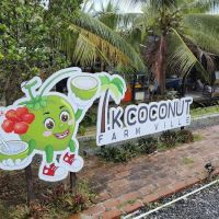 TK Coconut Farm Ville ico