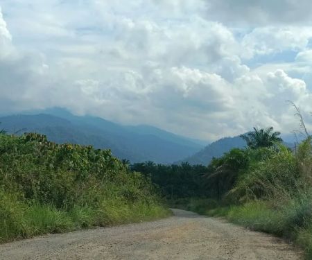 Sg Rengat