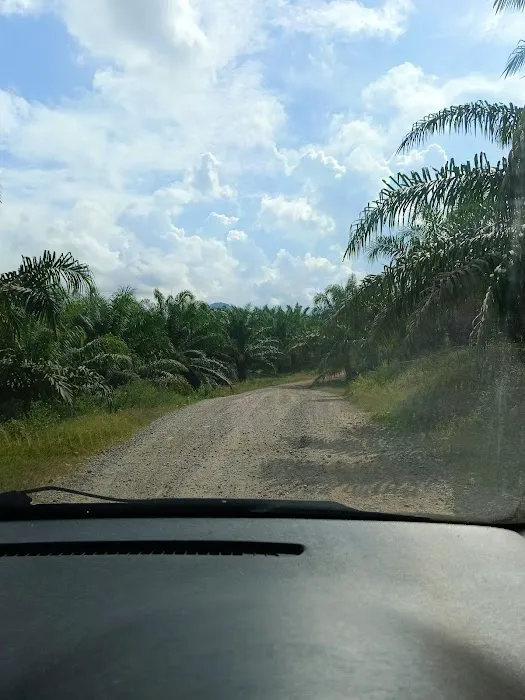 Sg Rengat Picture 6