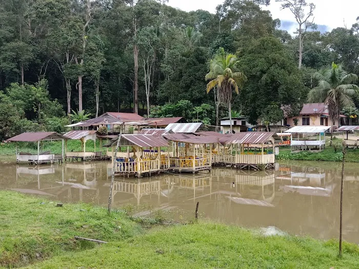 Car park to Gunung Hitam Trailhead Picture 7