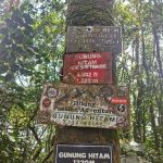 Gunung Hitam Trail Head