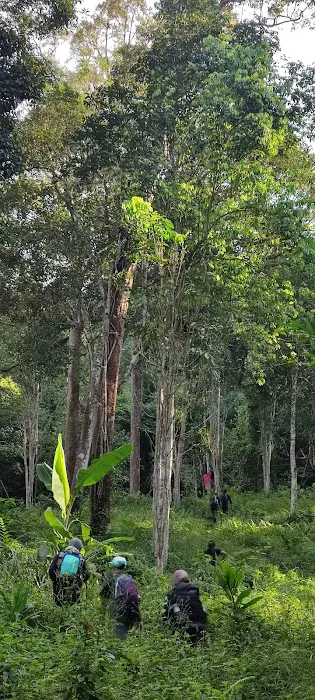 Gunung Hitam Trail Head Picture 7