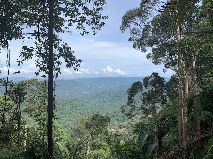 Gunung Hitam Trail Head Picture 5