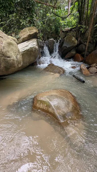 Gunung Hitam Trail Head Picture 8