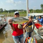 Pengkalan Sg kapar perjalanan ke ofb (tekong sony)