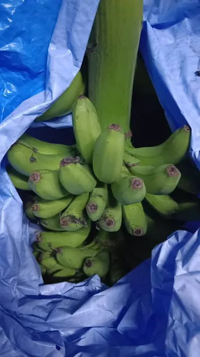 Menjual pisang. Picture 1