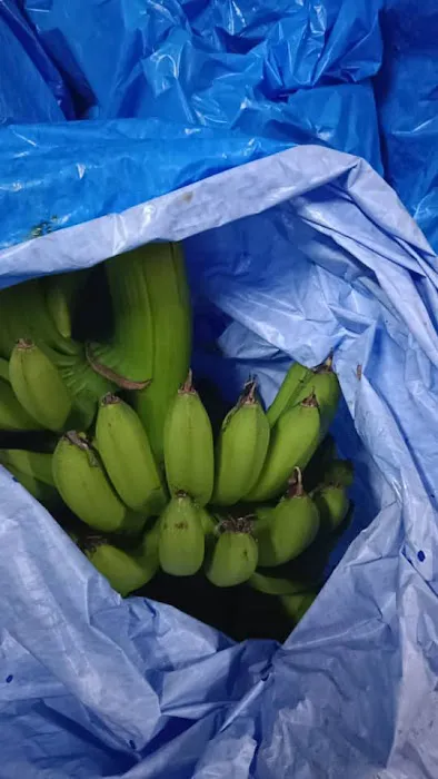 Menjual pisang. Picture 3
