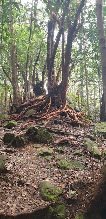 Bukit Changkat Asa Picture 1