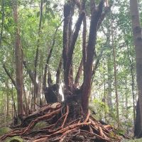 Bukit Changkat Asa ico